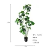 A 160cm tall, six-stemmed schefflera bonsai