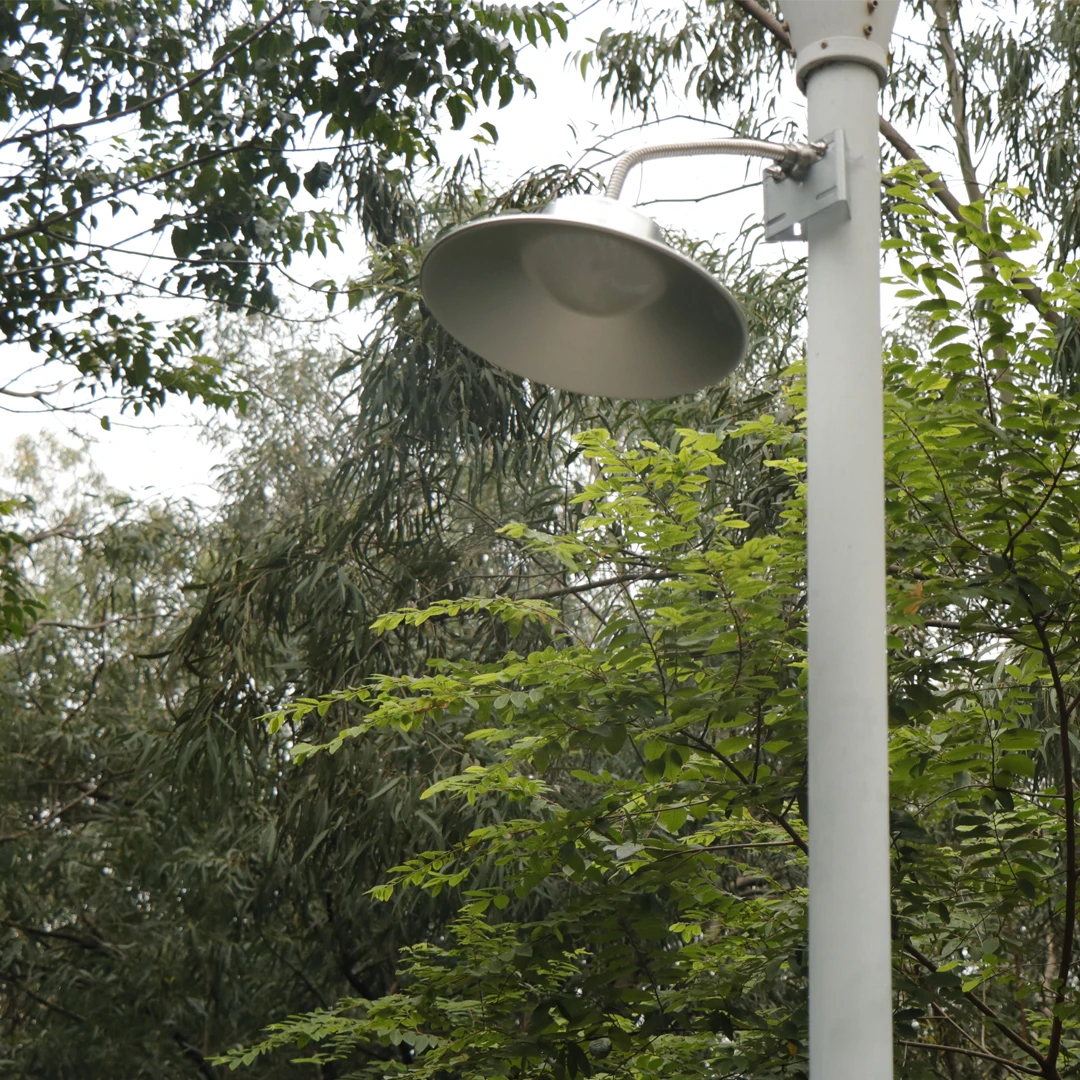 1080-1080-5.jpg