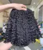 burmese curly