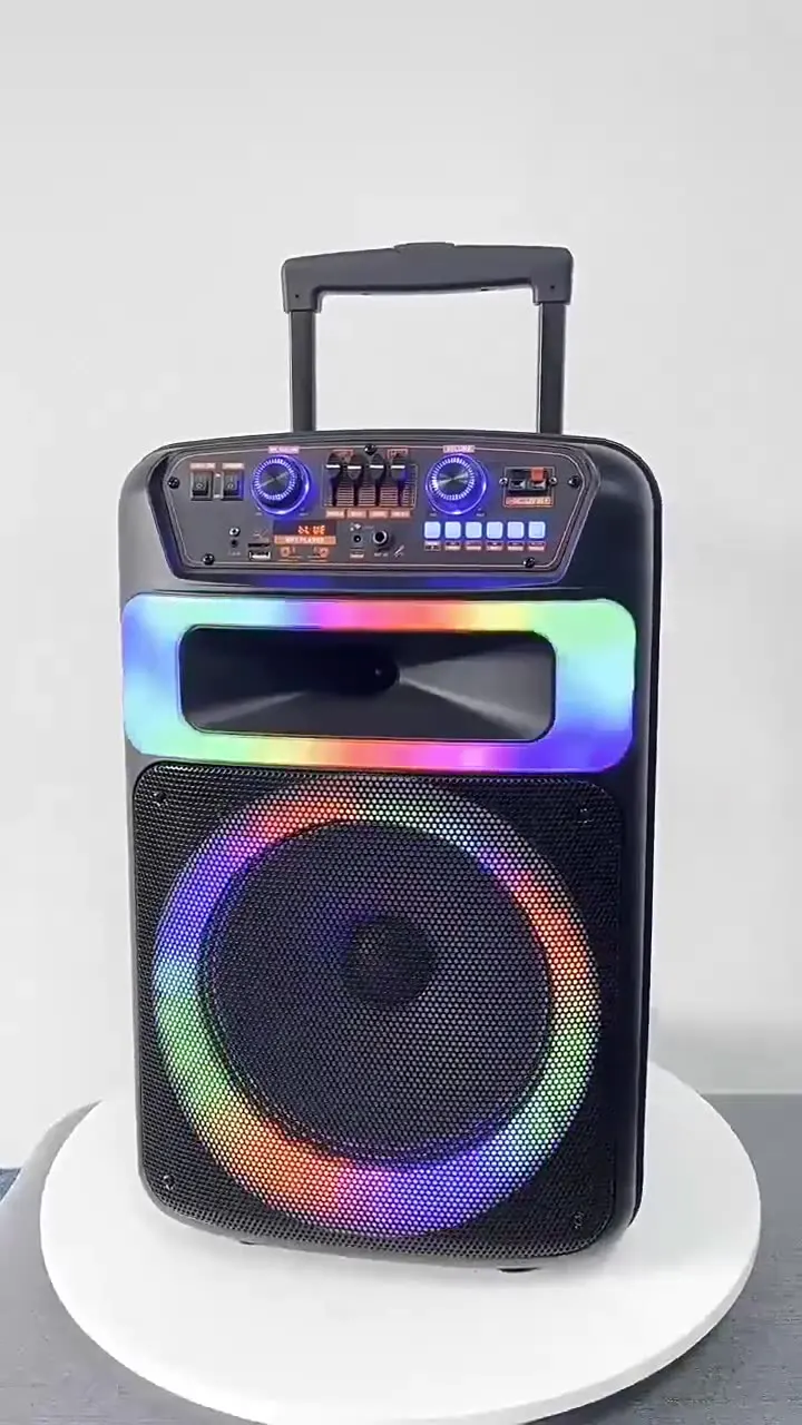 Extra Large Portable Wireless Outdoor Speaker - Dual 6-Inch