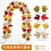 Maple vine (2 meters) 21 heads