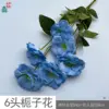 Gardenia de 6 cabezas HN azul