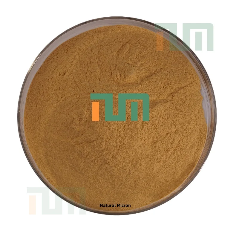 Large Stock Available Food Additive Shellac Powder CAS 9000-59-3