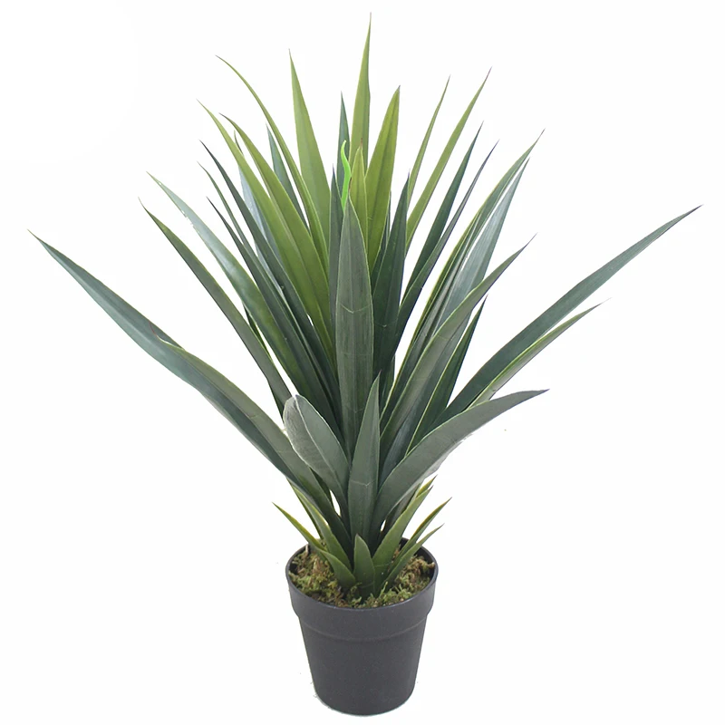 Decoración De Plástico Artificial Para El Hogar Y La Oficina,Maceta De  Plantas,Agave,Bonsái,Nuevo Diseño - Buy Artificial Gladiolo  Plantas,Artificial Plantas En Macetas,Artificial Plantas Ornamentales  Product on Alibaba.com