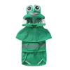 Frog raincoat