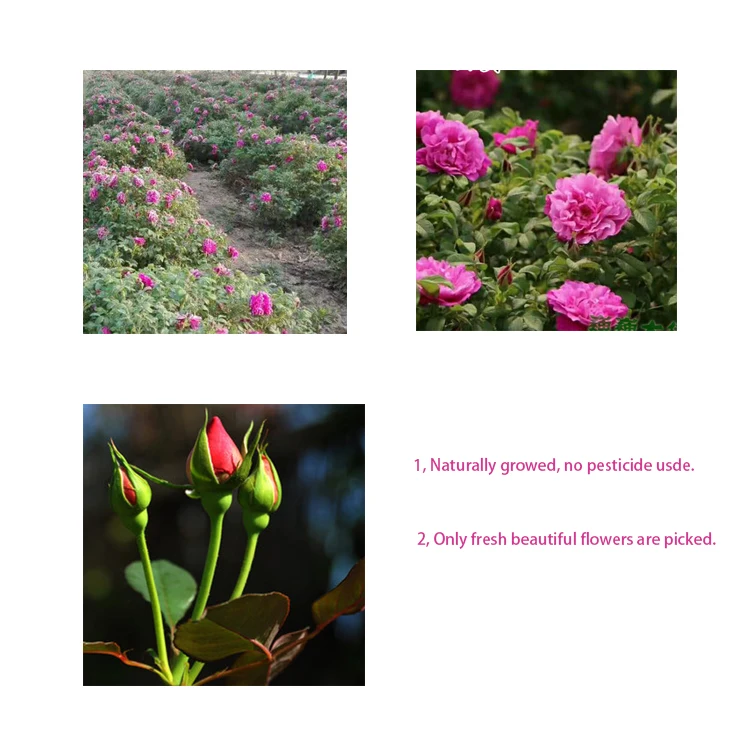 Rose Flower Powder (1).jpg