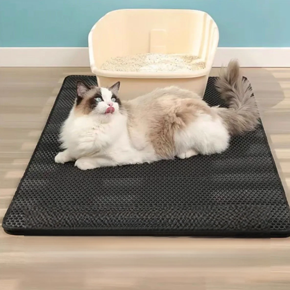 Hot Sales Double Layer Waterproof Urine Proof Cat Litter Mat Honeycomb EVA Antiskid Easy to Clean Pet Litter Pad Trapping