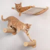 Juego de cama para gatos + poste para trepar para gatos
