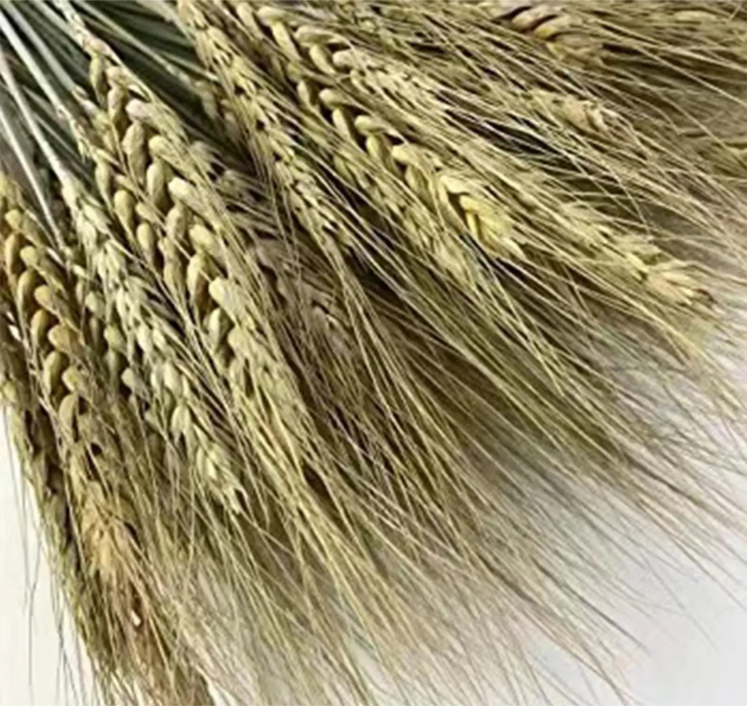 DIY Craft Home Table Artificial Dried Wheat Sheaves Natural Wheat Stalks Bundle Fall Arrangement Wedding Decor