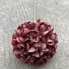 Peinture à l'huile, une seule tête, hortensia sauvage rouge.