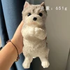 ขอแสดงความยินดีกับชเนอรี่