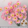 Pink three-headed poppy branch