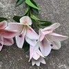 12# Pink, B16 3 head feel tianxiang lily gouache