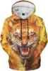 Fer Tiger1