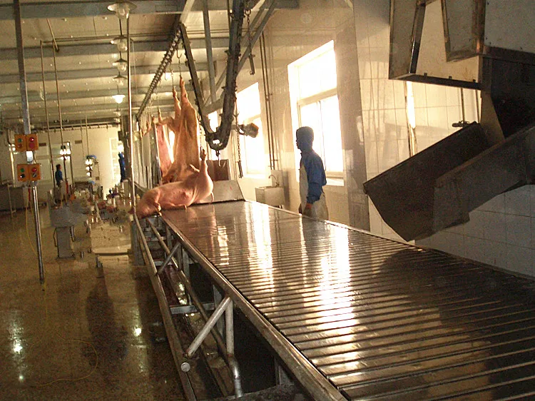Pig blood collection and slaughtering equipment slaughterhouse production line automatic bloodletting flat conveyor