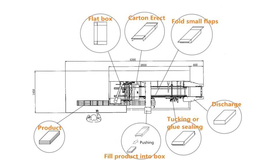 Automatic Carton Box Packing Machine for Chocopie Pouches Box Packaging Machine Factory