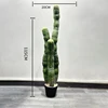 115cm