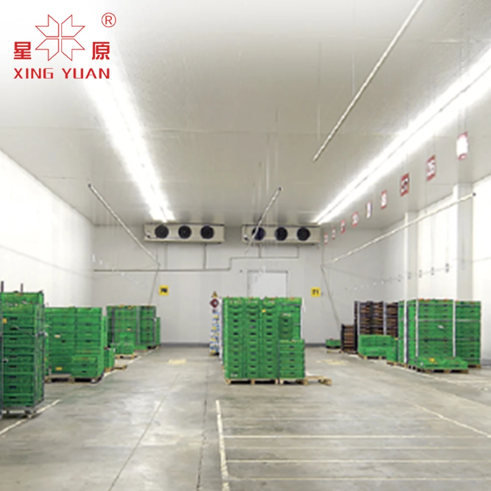 800 Tons Factory Customized Large Cold Storage Room Cooling Room for Food and Vegetable