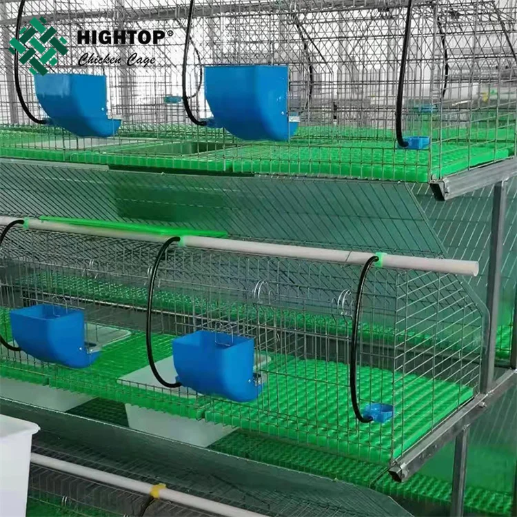 Modular Wire Rabbit Cages Alibaba.com: Q235 Mild Steel Wire Rabbit Breeding Cages in Kenya Farm ...