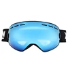 TS29 Snap-On Ski Goggles