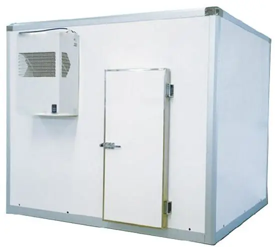 Cold Room and Blast Freezer for Chicken and Beef