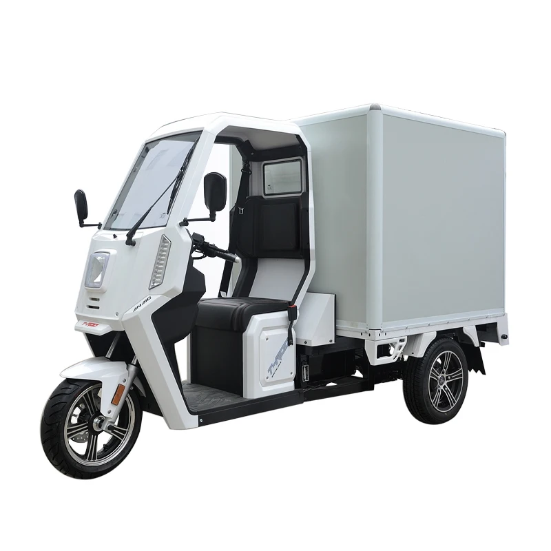 2021 New Eec Electric Tricycle Van Three Wheel Cargo Tricycle On Sale ...
