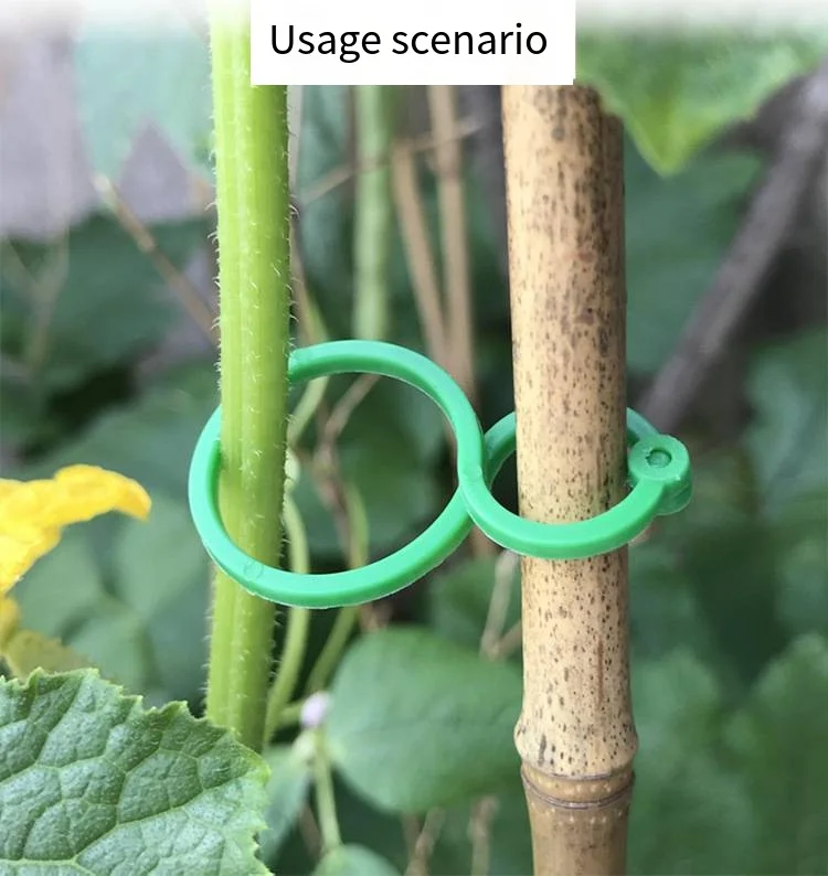 Gardening 8-figure buckle climbing vine tomato cucumber bundle 8-figure buckle plant fixed buckle gourd ring garden tools manufacture