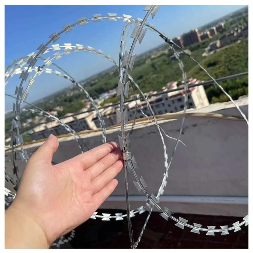 Quyoshli Leone hovuzda uning shirin silliq mushukini silaydi