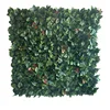 fotinia verde