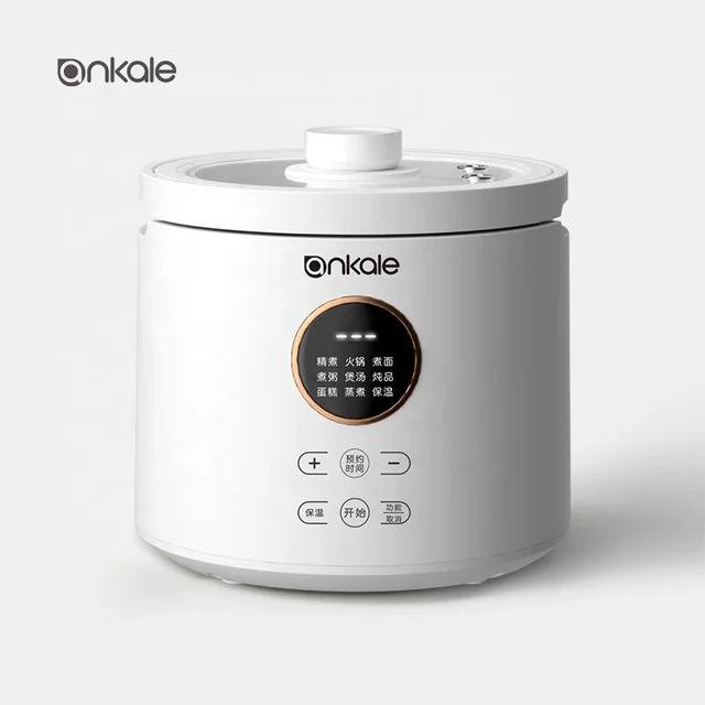 Ankale New design digital control multi-purpose cooker small electric rice coker multifunction 8 in 1 cooker 2L