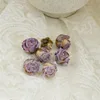 Light purple-side studs