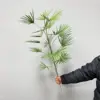 105cm Golden Mountain Palm - 17 leaves