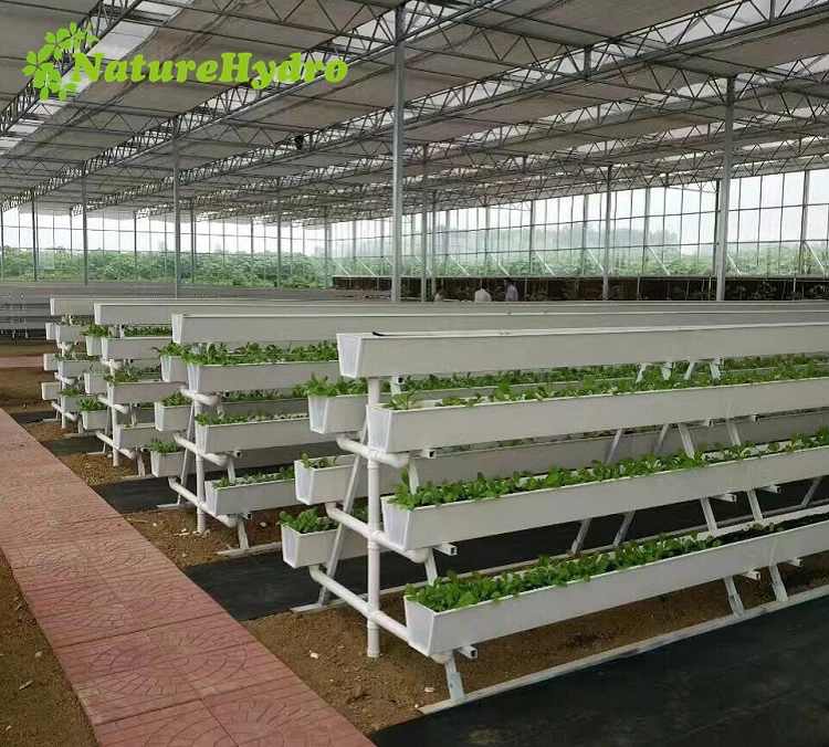 Pvc Hydroponic Strawberry Troughs Grow Gutter For Greenhouse Buy Pvc