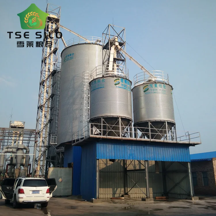Small Grain Steel Silo,3t/5t/10t/15t Small Silo,poultry Silo for Sale