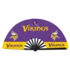 Vikings du Minnesota