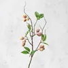 bright red fruit branch