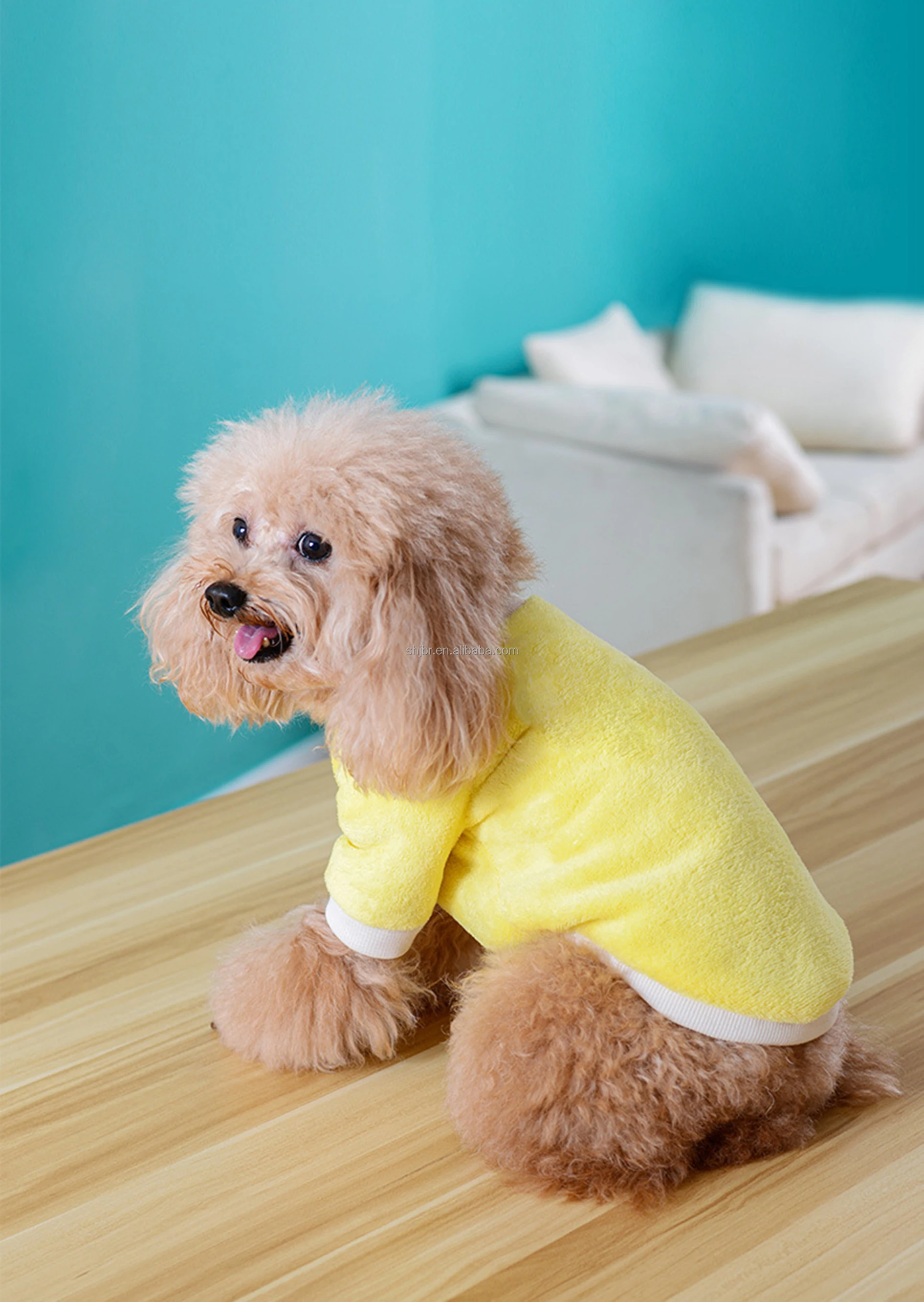 Factory Wholesale Dog/cat Pet Clothes Velvet Material Pet Jacket Autumn/winter Thick Puppy