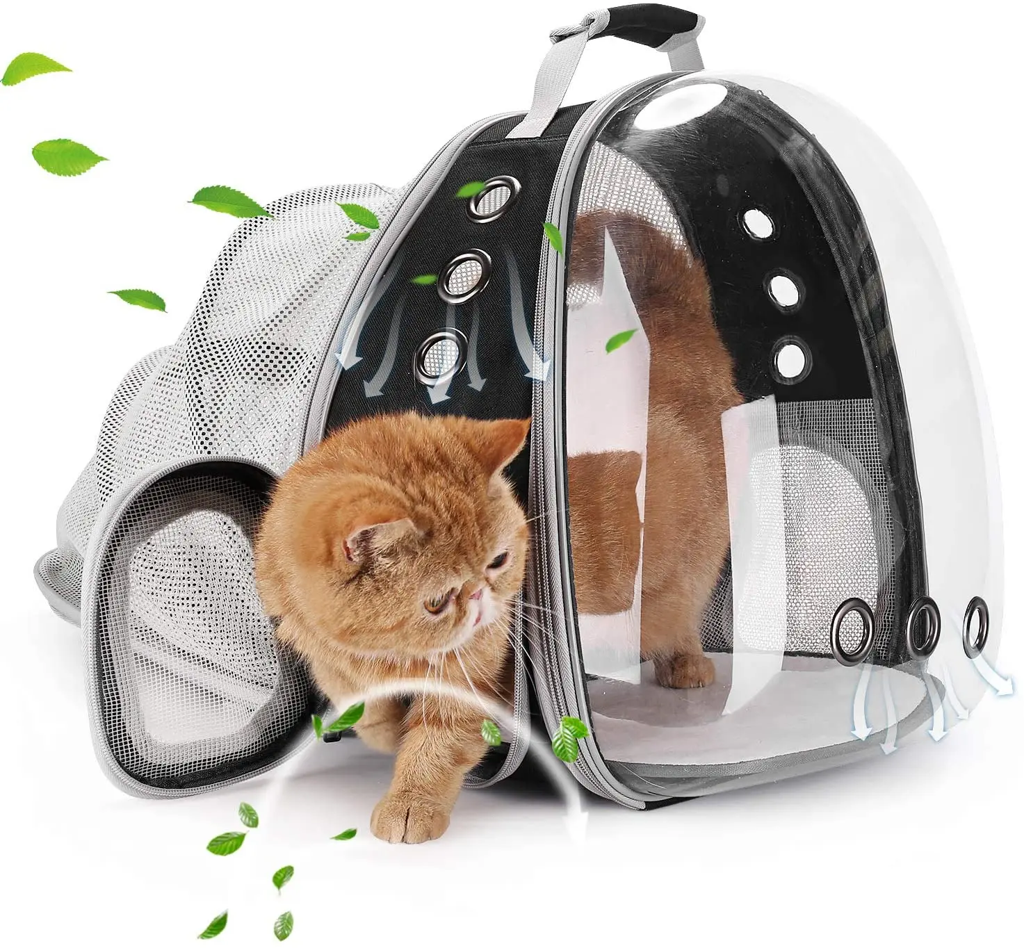 Mochila transportadora portátil para mascotas, bolsa transparente y  transpirable con cremallera para transportar perros y gatos, producto Gato  mascotas|Transportines para perros| - AliExpress