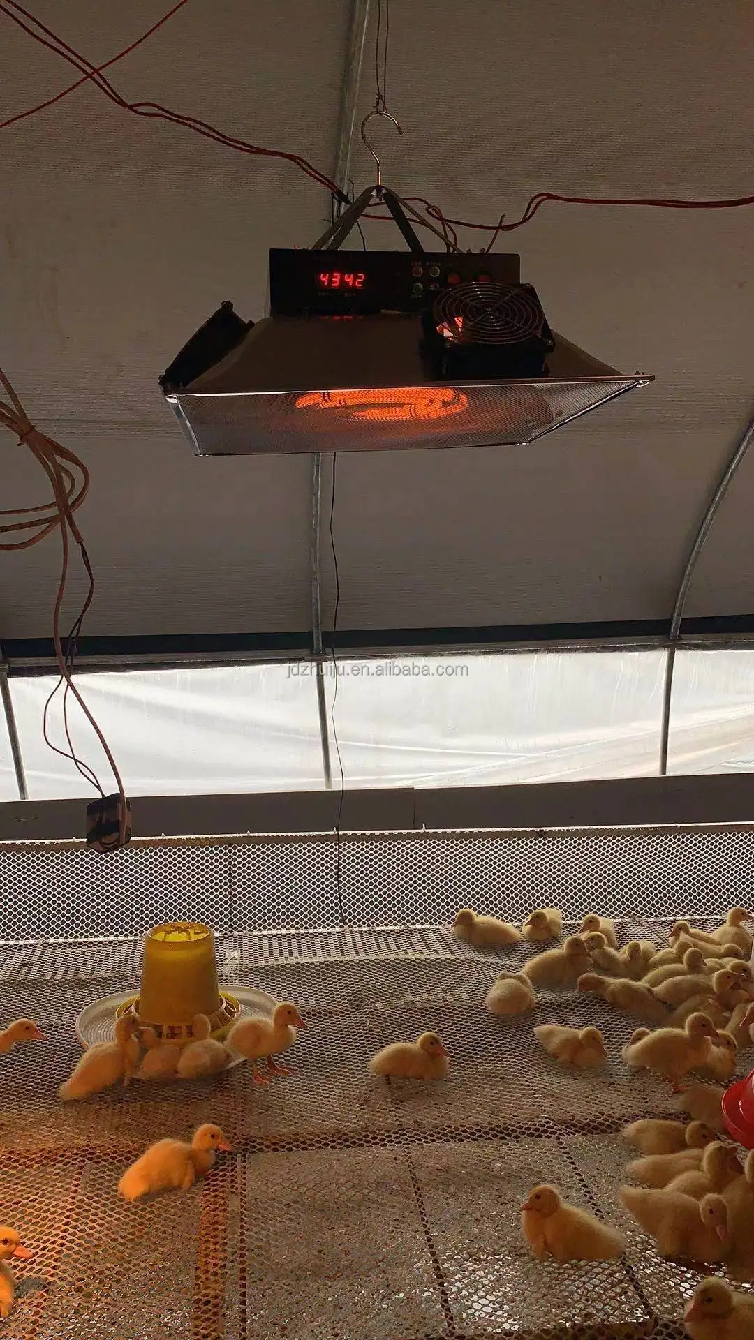 Electric Poultry Brooder HJ-YCD10 with Warming Light - Efficient Heat ...