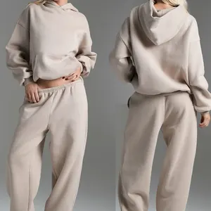 Solid Color Heavyweight Autumn Oem and Odm Service Sport Wear Apparel Gym Fitness Clothes Breathable Hooded Tracksuit for Women