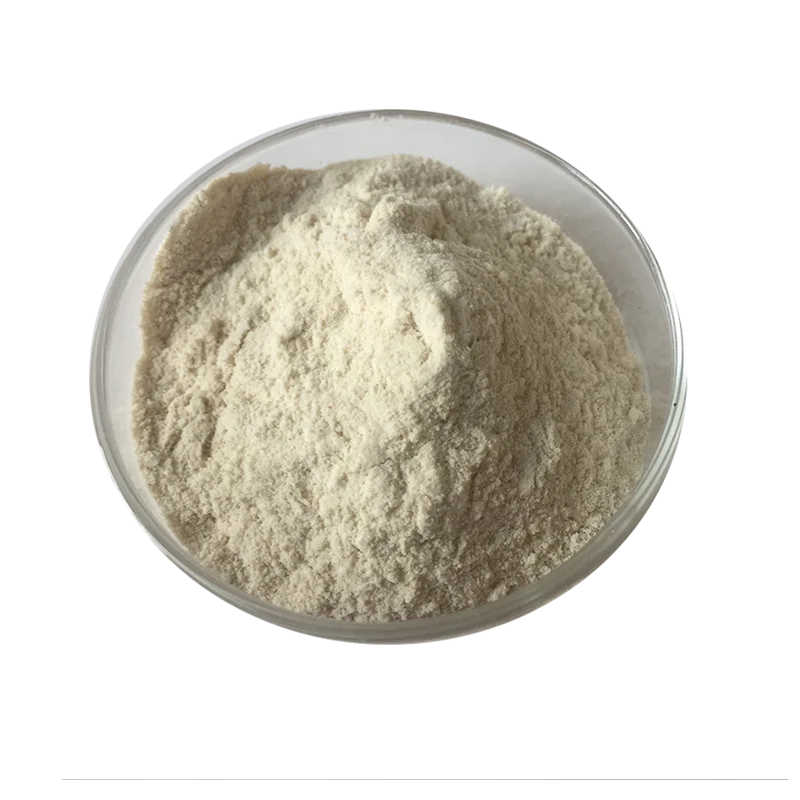 Anti-allergic100 миллиарда КОЕ/г Lactobacillus Reuteri здоровья человека для пищевых продуктов