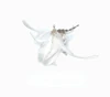 Feathers
