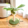 Coconut tree C