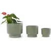 Antique Light Green