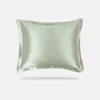 Verde chiaro