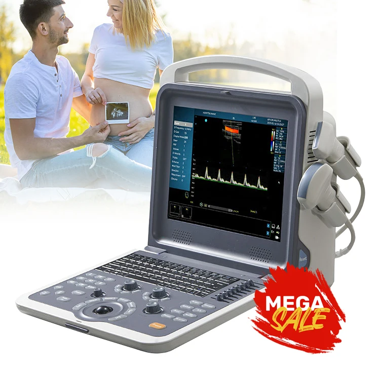 Real-Time Panoramic Image Pulsed Ultrasound Low Frequency Medical Ce Convex Ultrasound Probe Voluson E8 m Ultrasound 3D