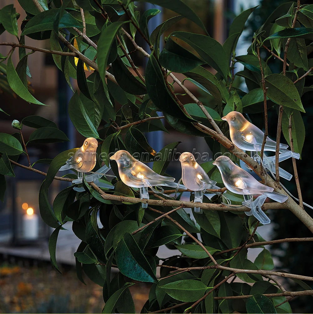 solar bird string lights