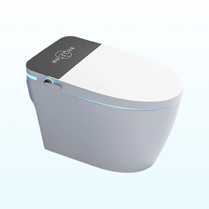 Modern Smart Toilet Instant Heating Inodoro Inteligente Bathroom Ceramic Bidet Sanitary Wc Toilet Bowl