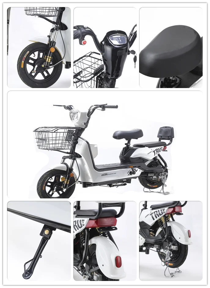 2023 Electric Scooter - 48V High-Speed Ebike (350W Motor)