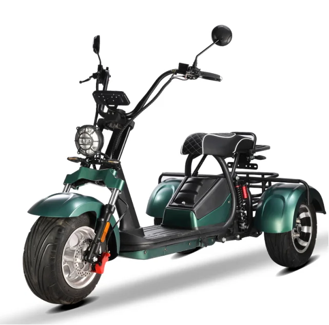 Electric Trike 3 Wheel Electric Citycoco E Scooter Adults 3000W 2000W E Scooter Three Wheel Scooter